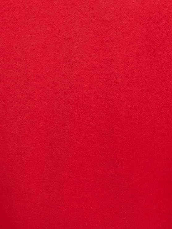 Polo Ralph Lauren Men's Classic-Fit V-Neck Cotton T-Shirt Color Red Size 2XL