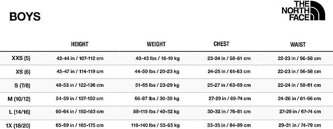 The North Face Big Boys Graphic T-shirt Color Navy Heather Size S