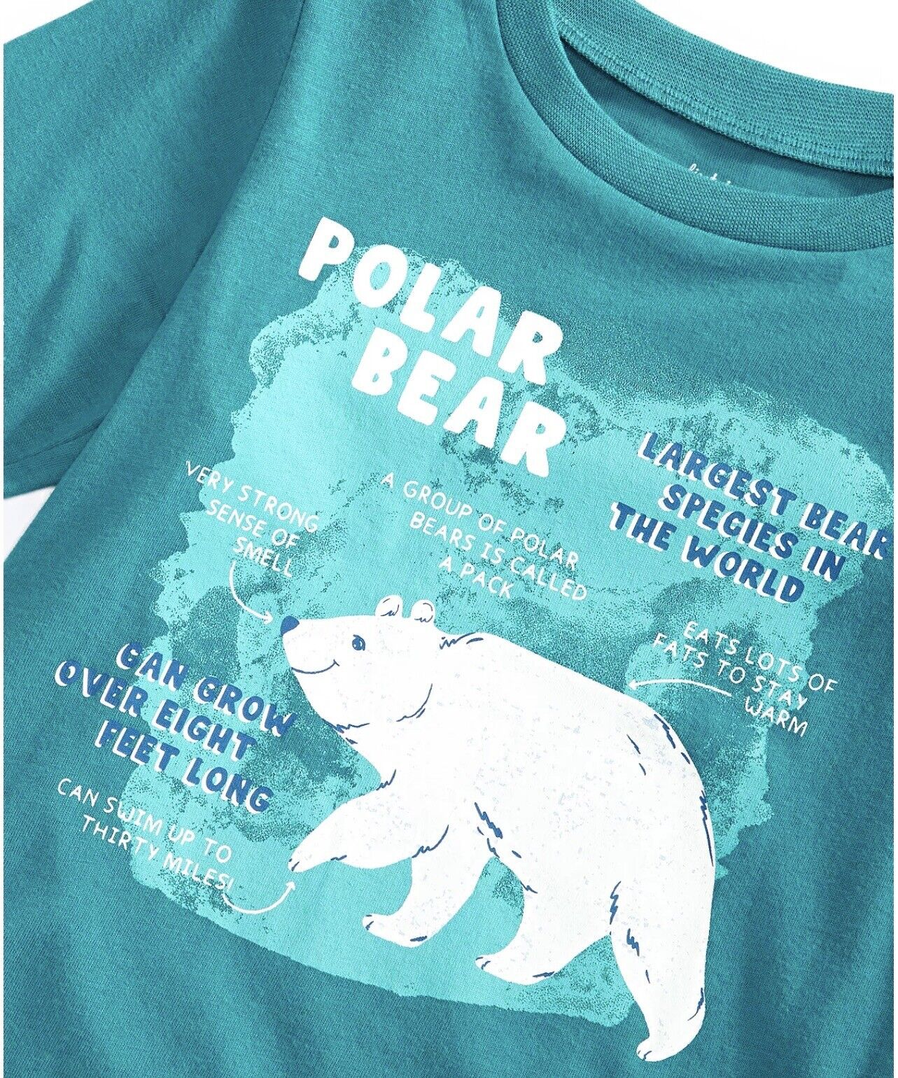 First Impressions Baby Boys Polar Bear Facts Top Color Harbor Blue Size 12 months