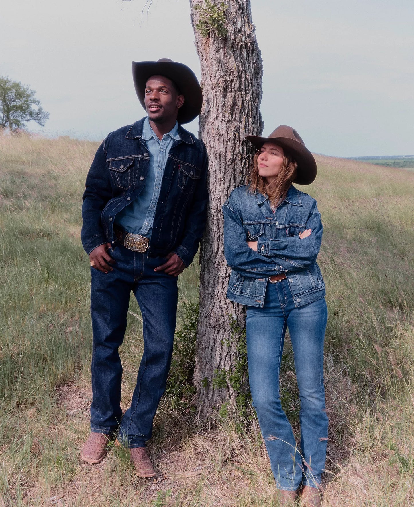 Levi's Men's 501 Original-Fit Button Fly Stretch Jeans  Listless Stretch W33xL34