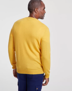 Club Room Men's 100 Cashmere V-Neck Sweater  Harvest Size XL