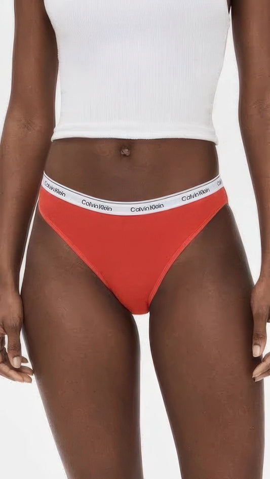 Calvin Klein Women's Modern Logo Low-Rise Bikini Underwear  Stratosphere Size L